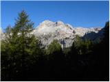 Uskovnica (Lom) - Planina pod Mišelj vrhom